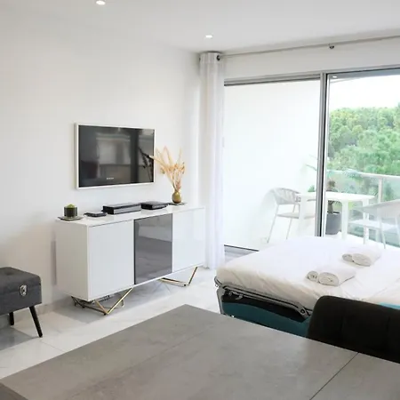 Apartment Magnifique Studio, Parking By Palmazur Cannes